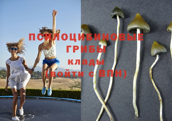 прущая мука Покровск