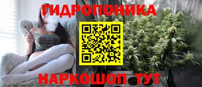 ешки Сланцы