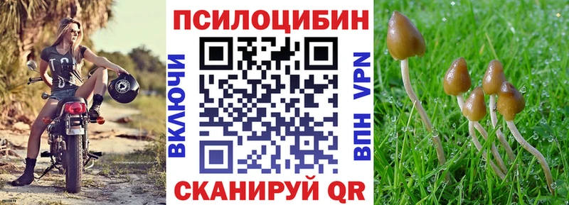 Галлюциногенные грибы мицелий  Сальск 