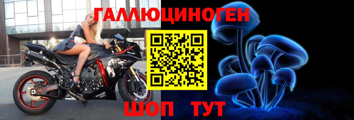 Псилоцибиновые грибы Magic Shrooms  Вход с VPN  Сальск  Псилоцибиновые грибы MAGIC MUSHROOMS 